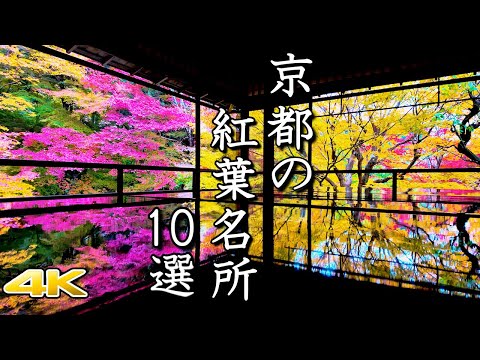 【4K 京都の紅葉絶景2023🍁10選】瑠璃光院・清水寺～大原三千院　2023年の鮮やかな名所