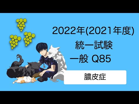 2022一般Q85『膿皮症』 愛玩動物看護師国家試験対策