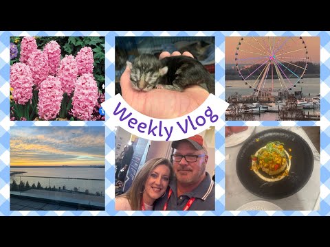 Weekly vlog! Parents, fashion, Grayson! #weeklyvlog, #fashion,