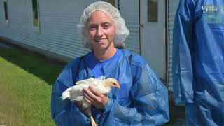 University of Delaware students tour organic poultry farm