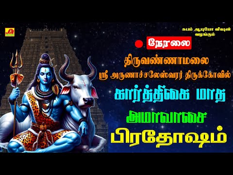 🔴  LIVE திருவண்ணாமலை பெரியநந்தி கார்த்திகை மாத அமாவாசை பிரதோஷம் அபிஷேகம்  #liveprodhasham