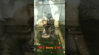 वारी हनुमान मंदिर || शिव लिंग || अतभूत दृश्य || हर हर महादेव 🚩🙏🏻 #shortvideo #youtubeshorts #shorts