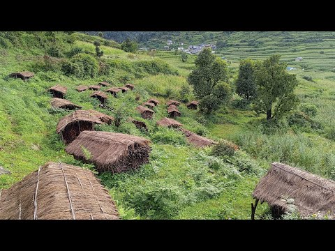 Traditional mountain village life || most relaxing and peaceful village life ||