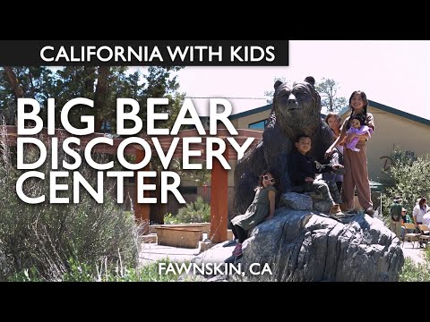 Big Bear Discovery Center Is A Helpful Big Bear Stop