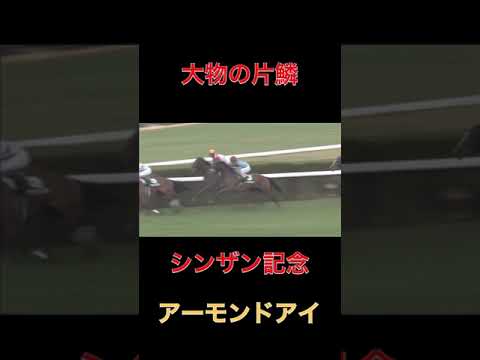 大物の片鱗アーモンドアイ【シンザン記念】#競馬#シンザン記念