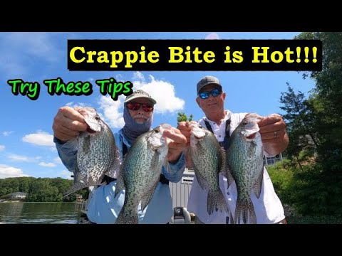 Simple way to catch lots of Summer Crappie