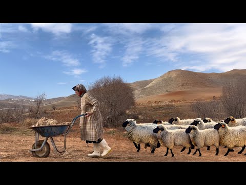 Mountain Village Secrets: How Iranian Women Prepare Wool by Hand