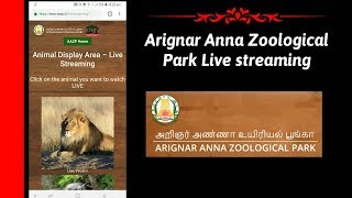 Live streaming Arignar anna zoological park | Tech series #9 | TAC Creations