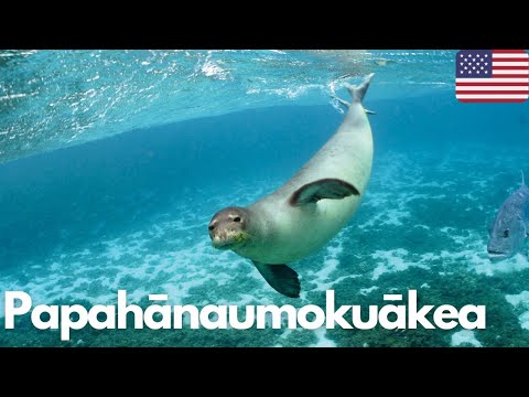 Exploring the Wonders of Papahānaumokuākea