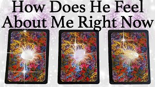 💕WHAT DOES HE/SHE THINK AND FEEL ABOUT ME RIGHT NOW?💕| 🔮Pick A Card🔮 | Love Tarot Reading (Timeless)