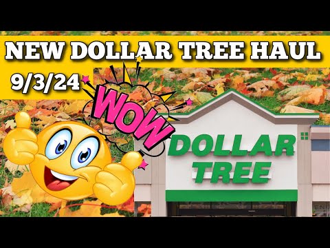 New Dollar Tree Haul 9/3/24