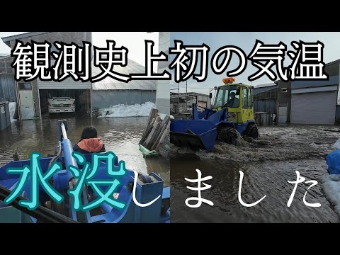 【札幌】観測史上初の気温で会社が水没！深刻な被害を受けました【最高気温】