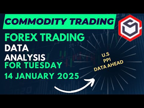 Commodity Trading Data | Forex Trading Data for Today Tuesday 14 January 2025