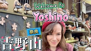 Mt. Yoshino 【世界遺産・吉野山】 A Historical Town in Nara, Japan #吉野奈良 #JapanTravel #Japanvlog