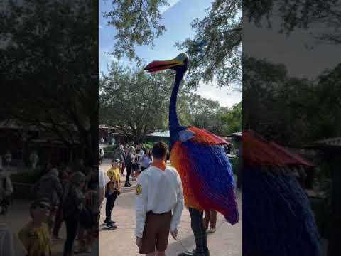 Kevin being a whole mood at Disney’s #AnimalKingdom! #travel #WaltDisneyWorld #Orlando