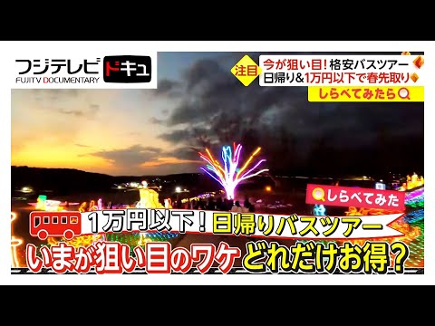 今が“狙い目”格安バスツアー！1万円以下で“春先取り”【しらべてみたら】