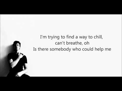 Shawn Mendes - In my blood (lyrics only)