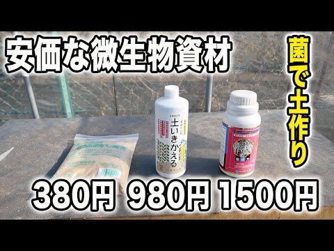 菌を使った土作りで土が変わる　菌の働きは？菌資材何がある？その他土に入れるもの