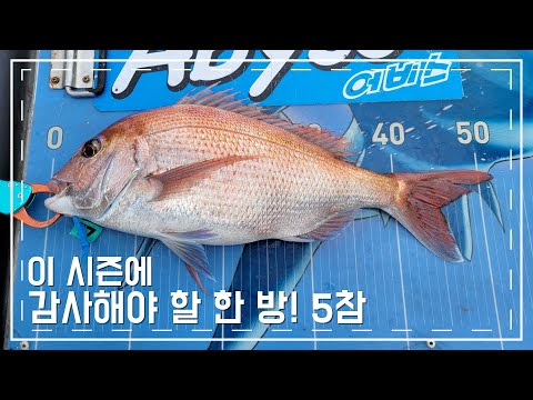 이 시즌에 감사해야 할 한 방! 5참