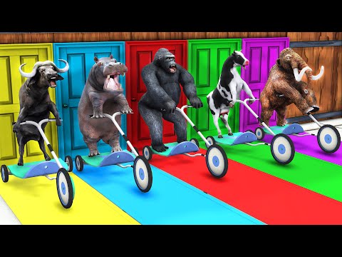 Cow Mammoth Elephant Gorilla HIPPO Guess the Right Door Run Fountain Crossing Paint Animals Game