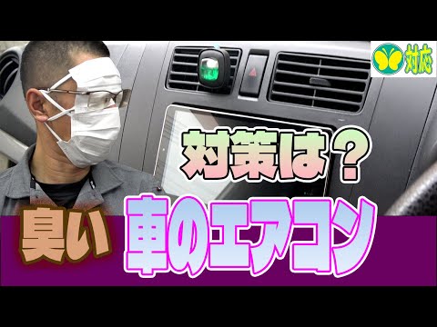 【健康を守る】車のエアコンの臭い・カビを予防する