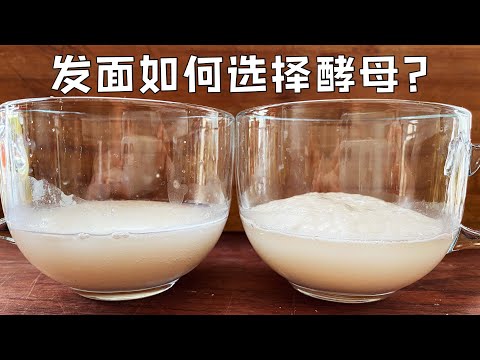 做馒头或面包发酵太慢，甚至发面失败？你可能选错了酵母