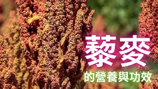 2022.12.20 藜麥的營養與功效 (Nutrition and Benefits of Quinoa)