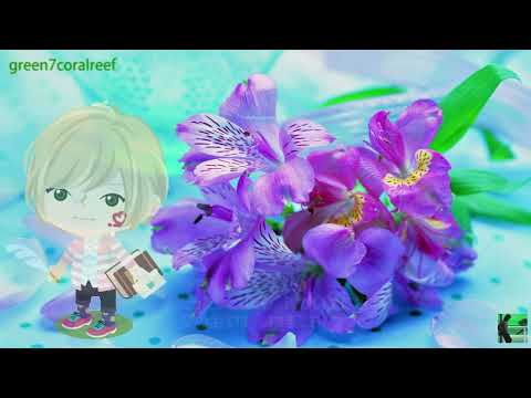 Butterfly / バタフライ － Naomile《歌詞付き》