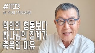 [날마다 기막힌 새벽 #1133] 악인의 형통 보다 하나님의 징계가 축복인 이유