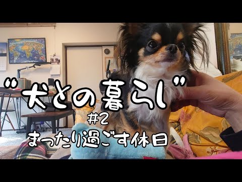 【犬との暮らし②】まったり過ごす休日