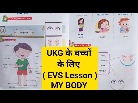 My Body / my body lesson / Body Parts / Ukg के बच्चों के लिए EVS Lesson MY BODY / body parts name