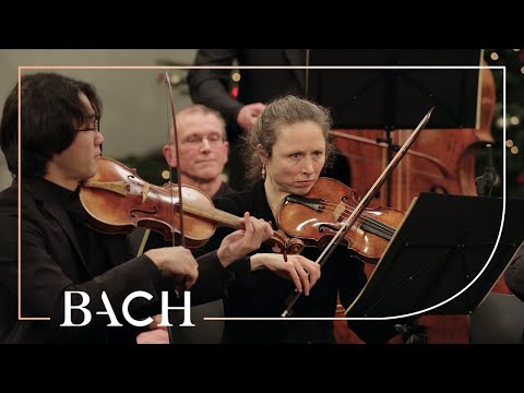 Bach - Et incarnatus est from Mass in B minor BWV 232 | Netherlands Bach Society