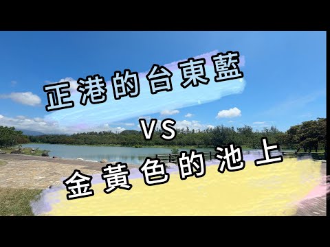 正港的台東藍與金黃色的池上相比，各有其美麗之處。台東森林公園/池上稻香