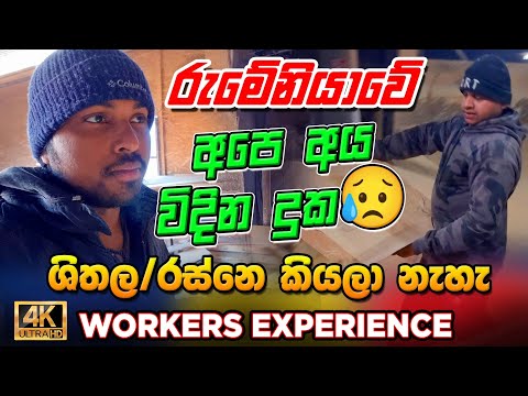 The Shocking Truth About Romanian Jobs රුමේනියාවේ රැකියා කොච්චර අමාරුද🥲