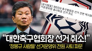 '정몽규 호위무사 논란' 선거운영위원회 공중분해, 대한축구협회장 선거 백지화! 향후 전망은?