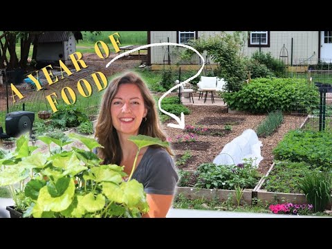 Planting A YEAR of FOOD for my Family of 4 | The 2024 Garden