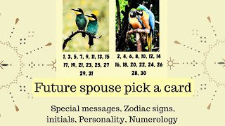 🌹Future spouse pick a card🌹Zodiac signs, special messages, name, personality🌹Timeless Tarot Reading