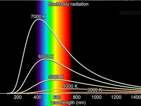 Wien’s Law