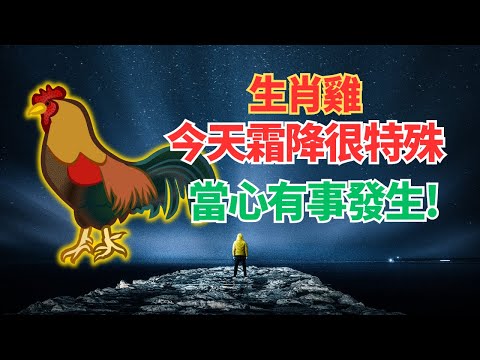 命理緊急提醒：生肖雞，今天23日是霜降，這天氣場能量特殊，當心有事發生！千萬注意，別輕視！ #2024年屬雞運程 #2024生肖雞運勢 #2024属雞运势 #2024属雞运程