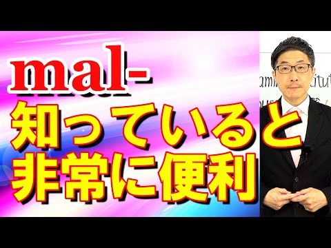 TOEIC文法合宿1231mal-は困った時に助けてくれることが多いのでオススメです/SLC矢田