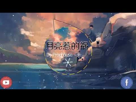 月亮惹的祸 - DJ-阿永 （抖音热播新版）『都是你的错 轻易爱上我 让我不知不觉满足被爱的虚荣 都是你的错 你对人的宠 是一种诱惑』