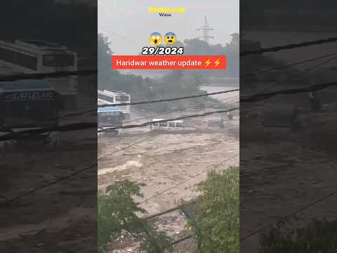 Rishikesh Rain Update #uttarakhand #rain #news #neemkarolibaba #flood #2024 #trending