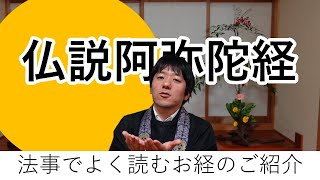 仏説阿弥陀経の法話【浄土真宗本願寺派】