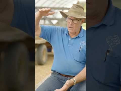 The most important thing you need for a successful carbonaceous diaper - Joel Salatin #compost #farm