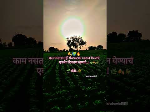 #शेतातले वातावरण 🌱🌾 #स्वतः मालक #agriculture #shetkri #agriculturefarming #nature #viralshort #love