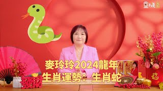 麦玲玲：2024龙年生肖蛇的整体运势