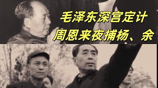 文化大革命102，毛泽东一句话试出林彪的小聪明，杨成武卸任代总长，吴法宪诱捕余立金，李作鹏、邱会作准备带走杨成武。傅崇碧冲击中央文革，黄永胜的出身来历#文化大革命 #文革 #中共 #毛泽东 #周恩来