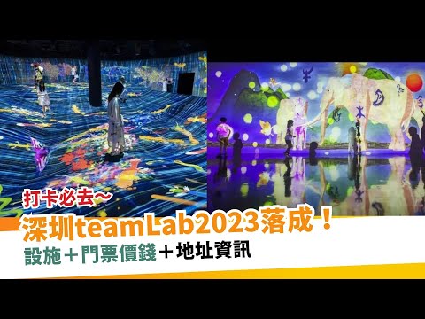 深圳teamLab2023｜「teamLab共創！未來園」設施＋門票價錢＋地址資訊整合  |  新假期【玩樂速報】