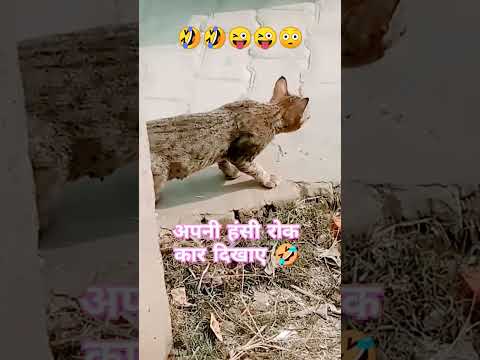 Bachcha Ghar jakr apna😜😜🤣🤣🤣😳😳Bola #funny 😜😜#comedy #yt_shorts #views #trending #viralshort 🤣🤣😜😜👌👌👍👍💓