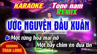 Ước nguyện đầu Xuân Karaoke Remix Tone nam